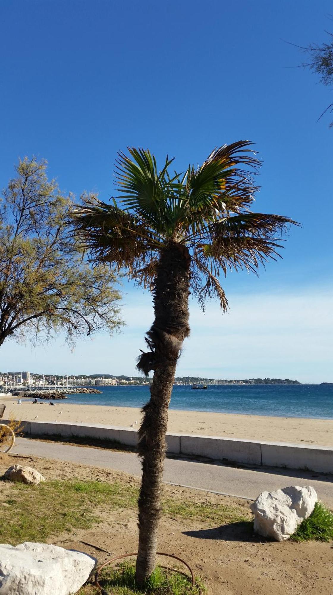 Sublime Vue Mer,Parking,Wifi Frejus Bagian luar foto