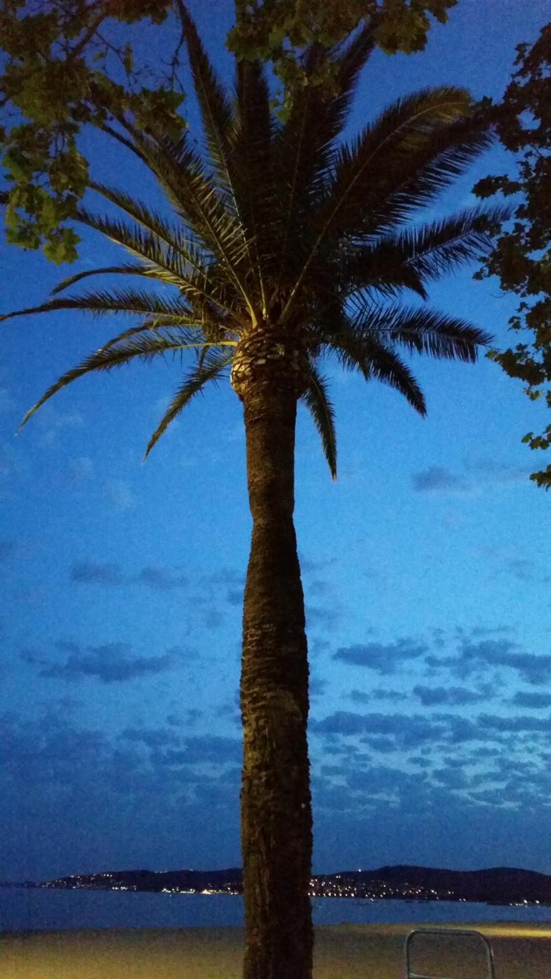 Sublime Vue Mer,Parking,Wifi Frejus Bagian luar foto